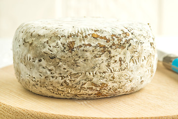 Image showing Tomette des Alpes, cheese of France