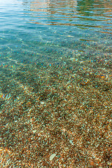 Image showing Pebbles seen through clear water