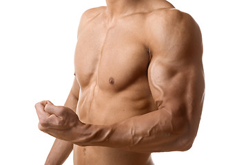 Image showing Biceps muscle of young man