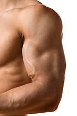 Image showing Biceps muscle of young man