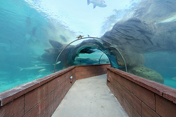 Image showing Aquarium Tunnel