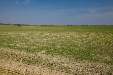 Image showing Agriculture