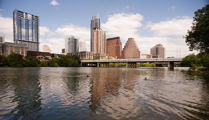 Image showing Dogs Swimming playing Colorado River Downtown Austin Texas