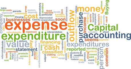 Image showing Expense wordcloud concept illustration