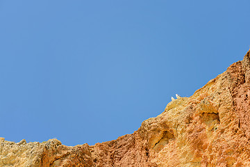 Image showing Two seagulls sitting on cliff top