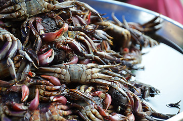 Image showing Vendor prepares seafood on a stall in Chinatown