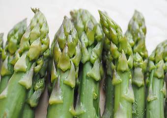 Image showing Asparagus vegetable