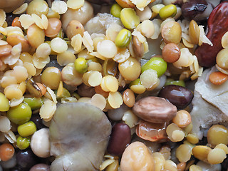 Image showing Beans vegetable salad