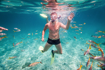 Image showing Snorkeler