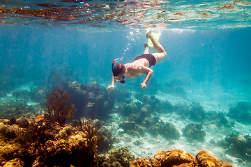 Image showing Snorkeler