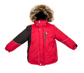 Image showing Warm jacket isolated