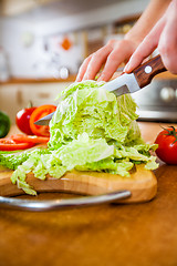 Image showing Woman\'s hands cutting vegetables