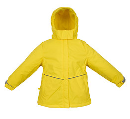 Image showing Warm jacket isolated