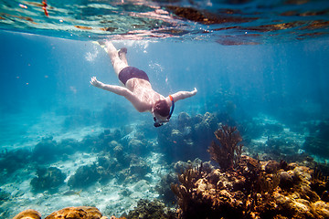 Image showing Snorkeler