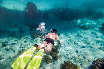 Image showing Snorkeler