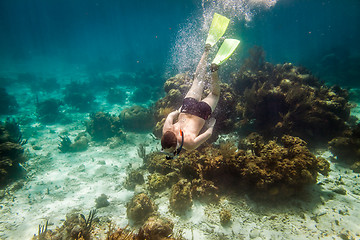 Image showing Snorkeler