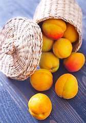 Image showing apricots