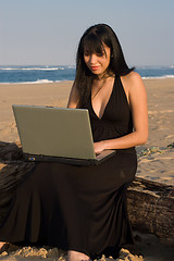Image showing Laptop Lady