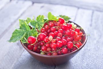 Image showing red currant