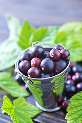 Image showing black currant