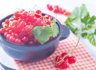 Image showing red currant