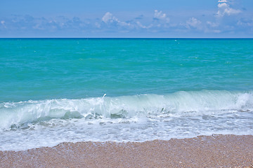 Image showing nature in Crimea