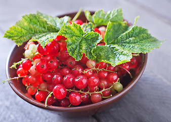 Image showing red currant