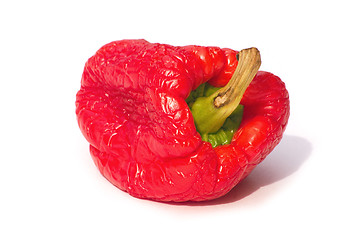 Image showing withering pepper