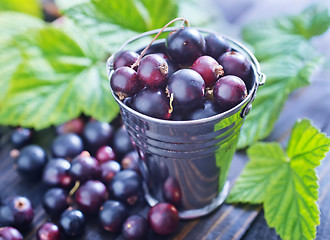 Image showing black currant