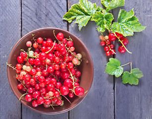 Image showing red currant