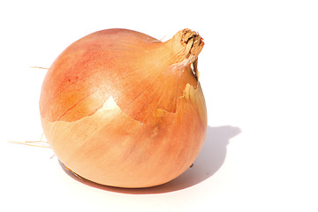 Image showing spanish onion