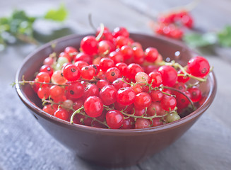 Image showing red currant