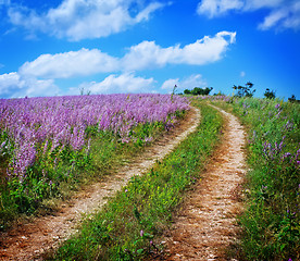 Image showing nature in Crimea