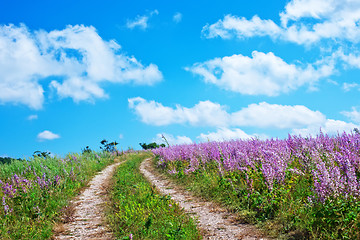 Image showing nature in Crimea