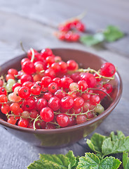 Image showing red currant