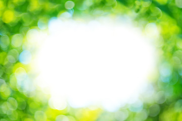 Image showing bokeh  background