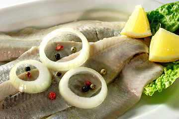 Image showing Herrings