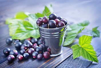 Image showing black currant