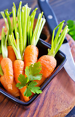 Image showing fresh carrot