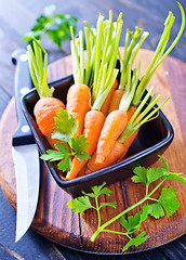 Image showing fresh carrot