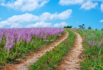 Image showing nature in Crimea