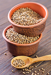 Image showing coriander