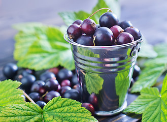 Image showing black currant