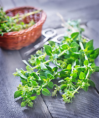 Image showing oregano