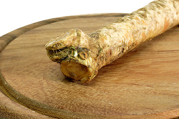 Image showing Horseradish Root