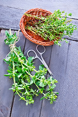 Image showing oregano