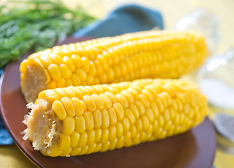 Image showing sweet corn