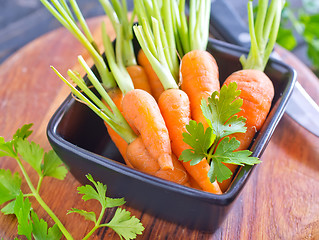 Image showing fresh carrot