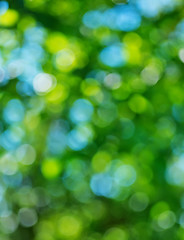 Image showing bokeh  background