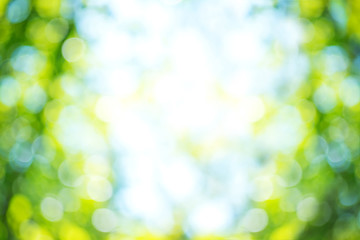 Image showing bokeh  background